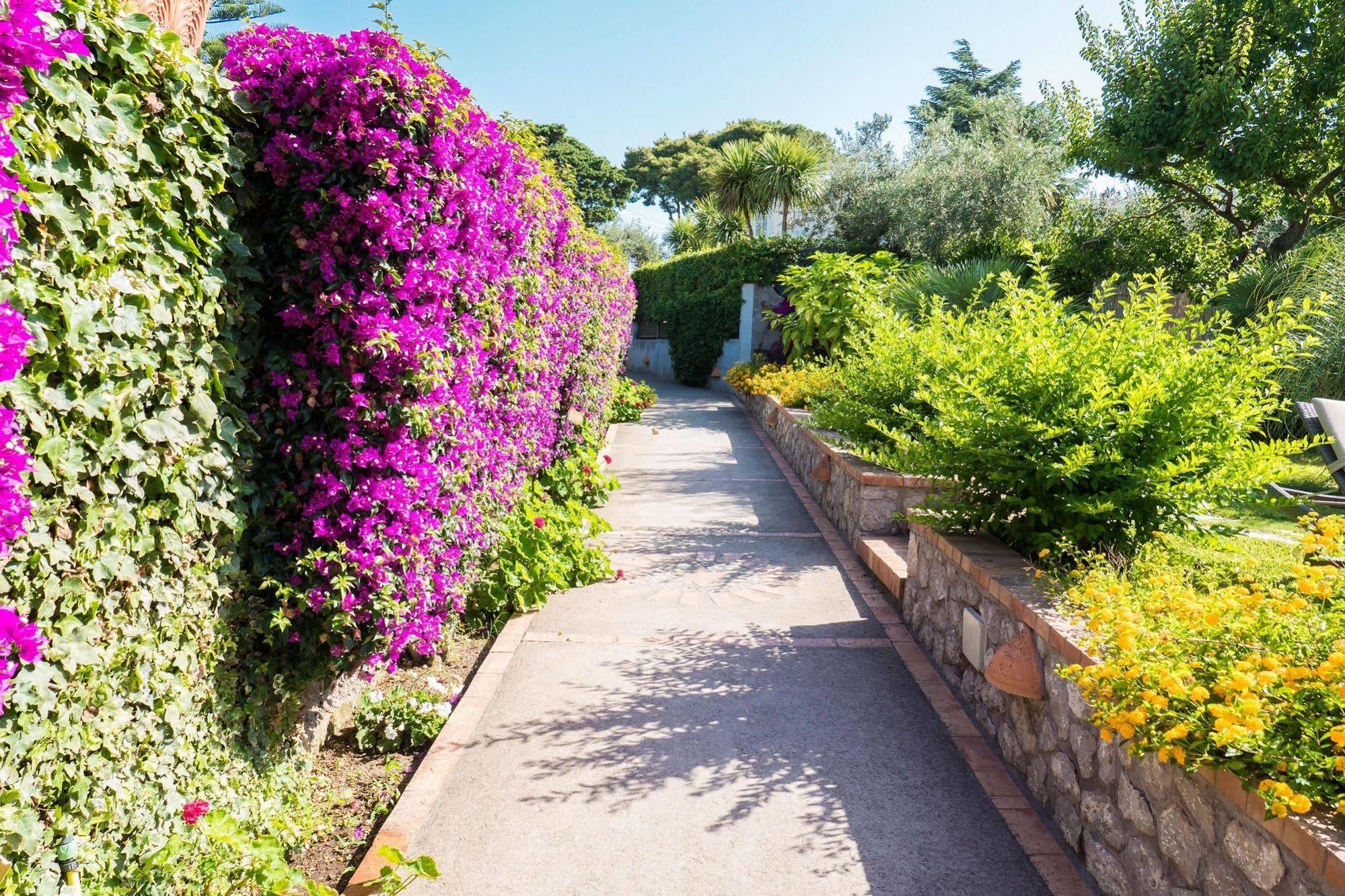 Hotel Ceselle Anacapri (Isola di Capri)